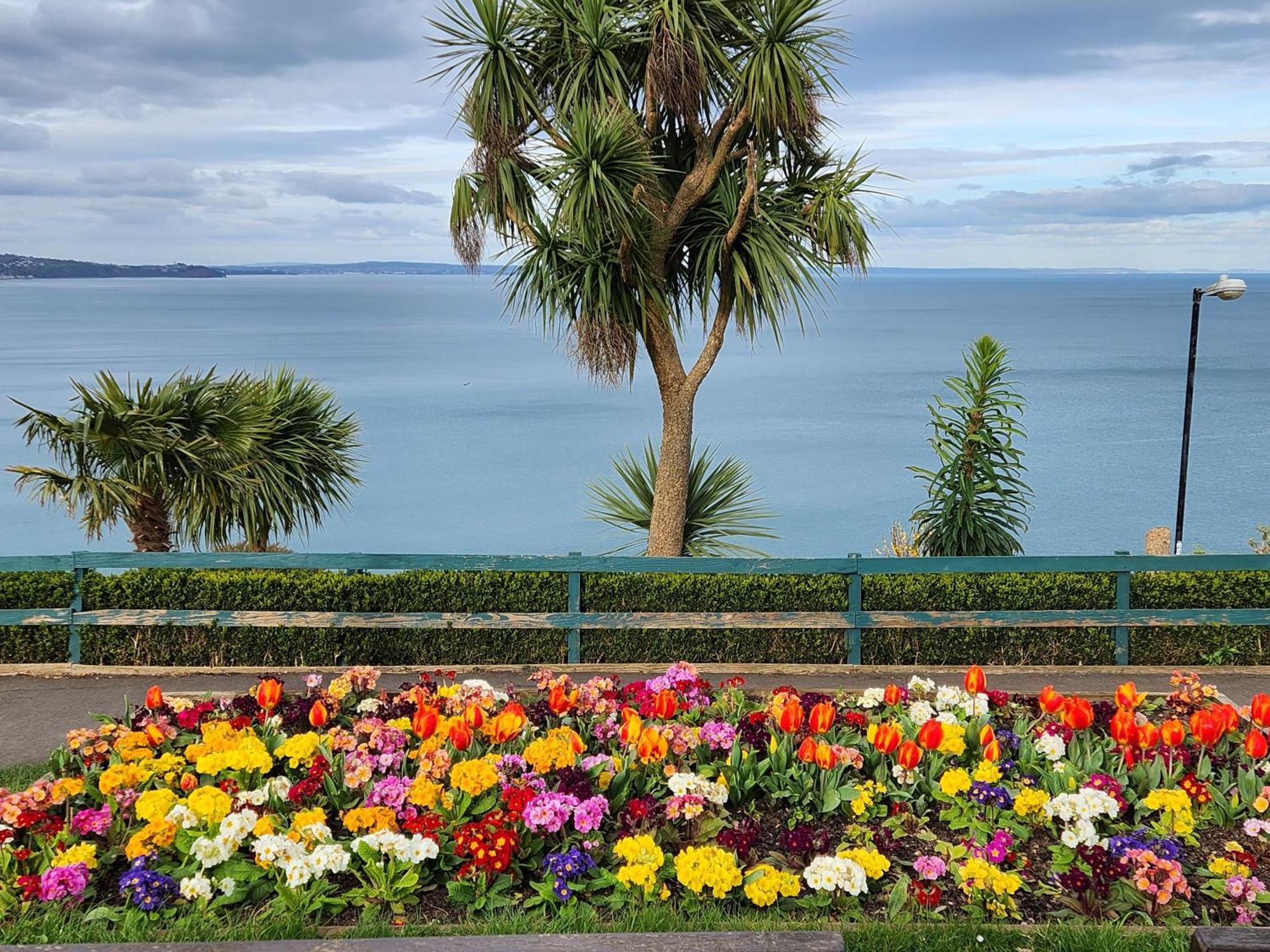 Rose Court Holiday Apartments Torquay Dış mekan fotoğraf