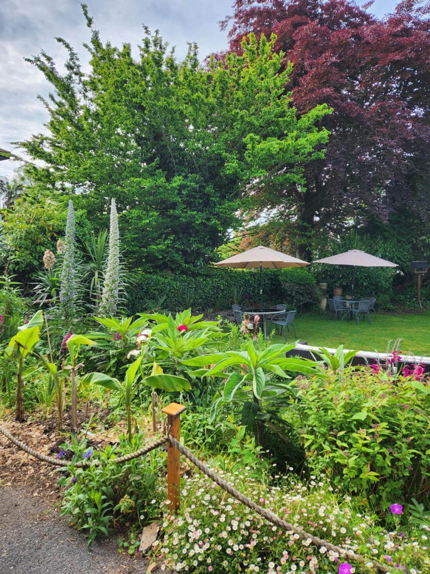 Rose Court Holiday Apartments Torquay Dış mekan fotoğraf