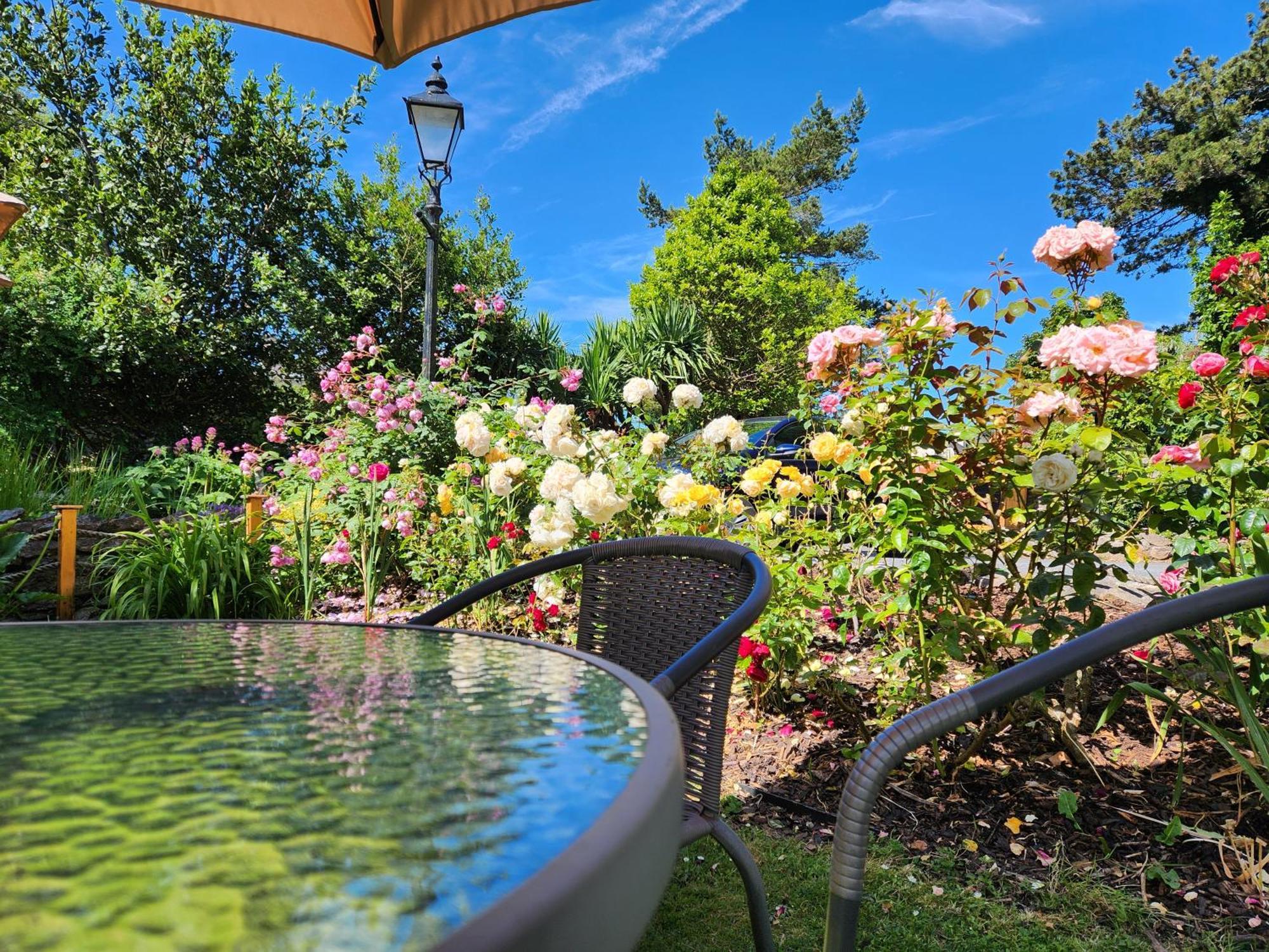 Rose Court Holiday Apartments Torquay Dış mekan fotoğraf