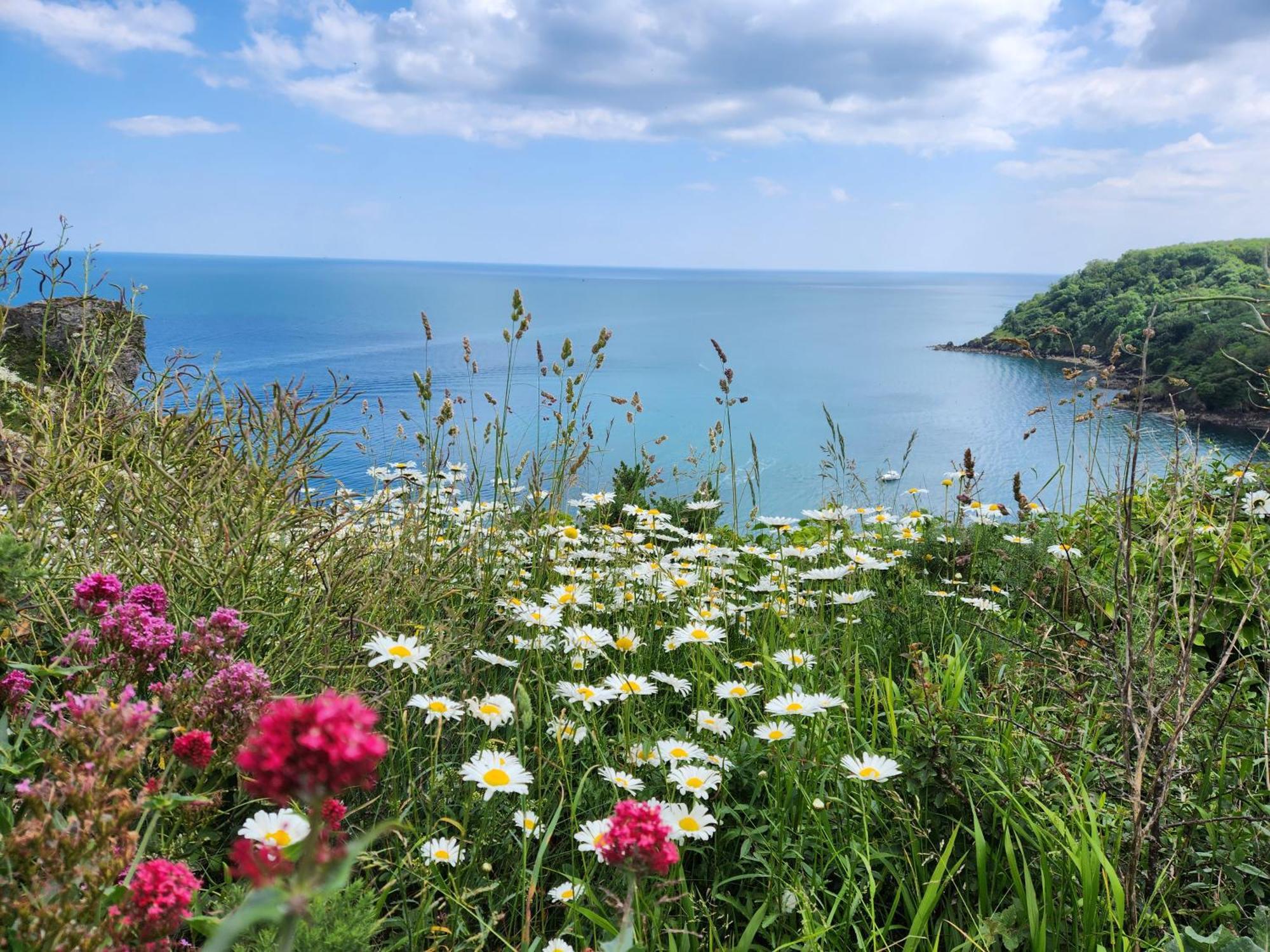 Rose Court Holiday Apartments Torquay Dış mekan fotoğraf