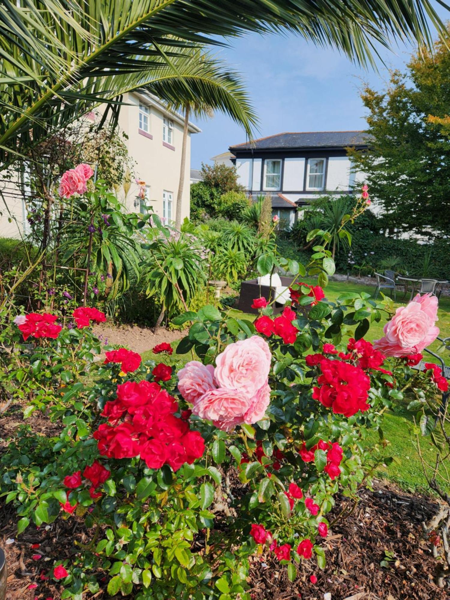 Rose Court Holiday Apartments Torquay Dış mekan fotoğraf